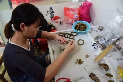 茂名沙垌村 以“一棵樹”為媒，茶香沉香共譜富民曲