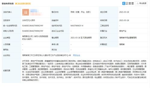 中創國遠控股公司 區塊鏈技術軟件與服務轉讓公告
