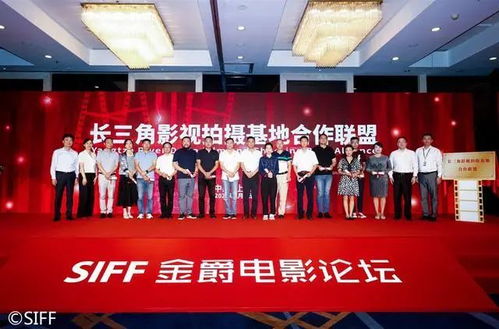 我的前半生 無名 繁花 阿拉上海 出鏡率 為啥那么高